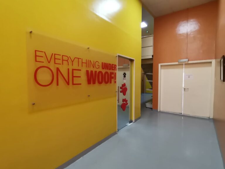 1631b956 04e7 461e a00e d0e4bf4da60f 768x576