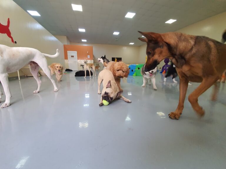 178915807 5627308907309108 4881043234726134851 n 768x576