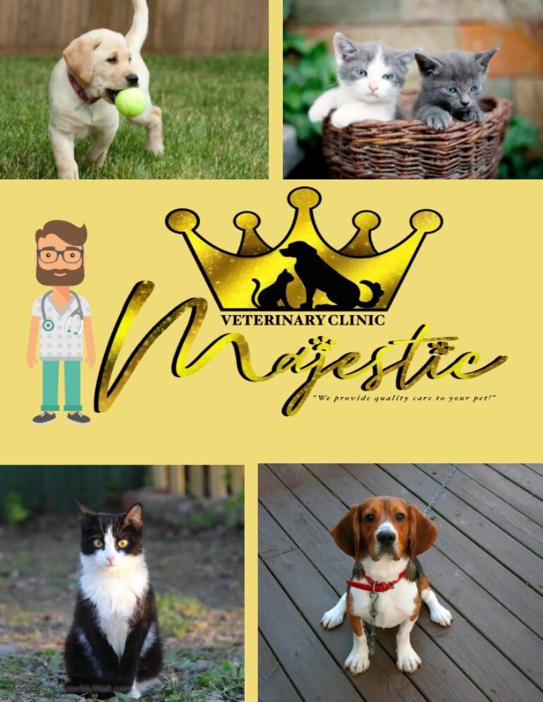 WhatsApp Image 2023 09 24 at 2.30.56 AM 768x994